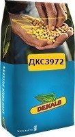 Насіння кукурудзи ДКС 3972 ФАО 300