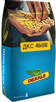 Насіння кукурудзи ДКС 4608 ФАО 380