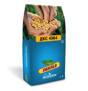 Семена кукурузы ДКС 4964 ФАО 380