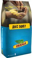 Семена кукурузы ДКС 5007 ФАО 440