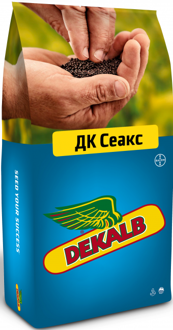 Семена озимого рапса DK SEAX (ДК СЕАКС)