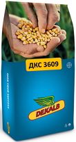 Насіння кукурудзи ДКС 3609 ФАО 260