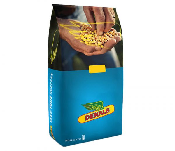 Семена кукурузы ДКС 3811 ФАО 320