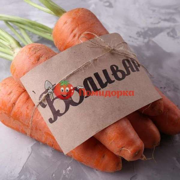 Морковь БОЛИВАР F1 | BOLIVAR F1 Clause ( 1.4 -1.6 ), Фасовка - 100 000 семян