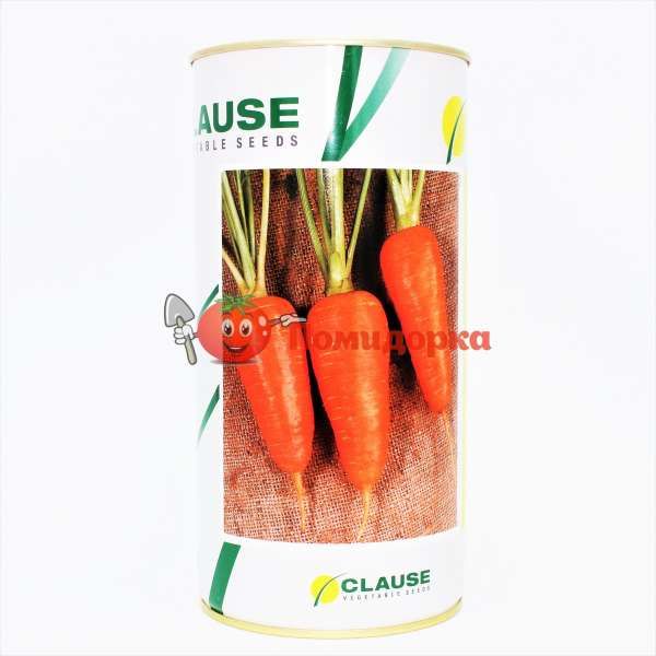 Морковь БОЛТЕКС | BOLTECS Clause, Фасовка - 500 грамм