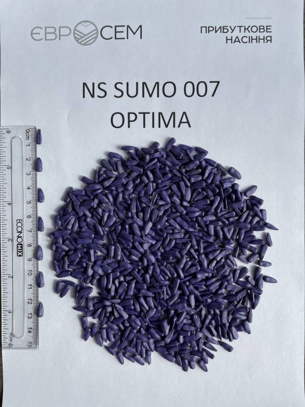Насіння соняшника НС Сумо 007 (NS 6059) оптимум