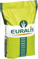 Семена кукурузы ЕС ГАРМОНИУМ Redigo M+Poncho (Euralis) ФАО - 380