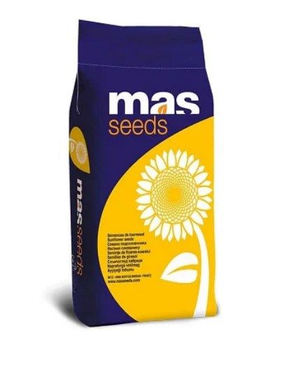 Семена подсолнуха Mas 97.A  Agrostart plus (Biostimulator+Cruiser)