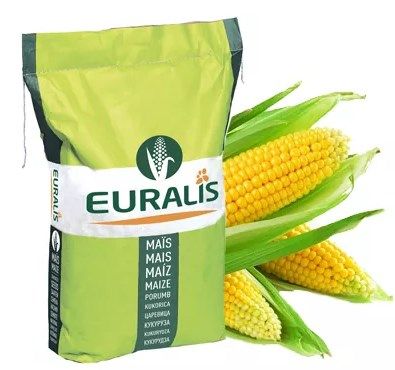 Семена кукурузы ЕС Хемингуей Redigo M+Poncho+Alios (Euralis) ФАО - 280