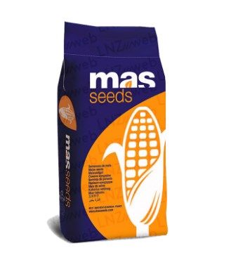 Семена среднеспелой кукурузы MAS 34.B